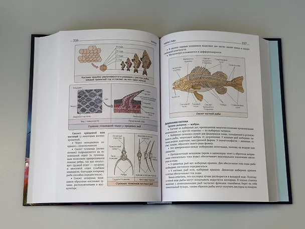 Книга Биология. Пособие для подготовки к ЕГЭ, ДВИ и олимпиадам любого уровня сложности (Владимир Пасечник, Ксения Напольская) — 12