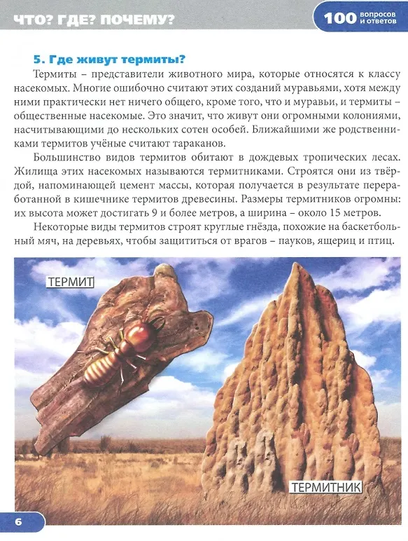 Книга Что? Где? Почему? Энциклопедия (Людмила Соколова) — 2