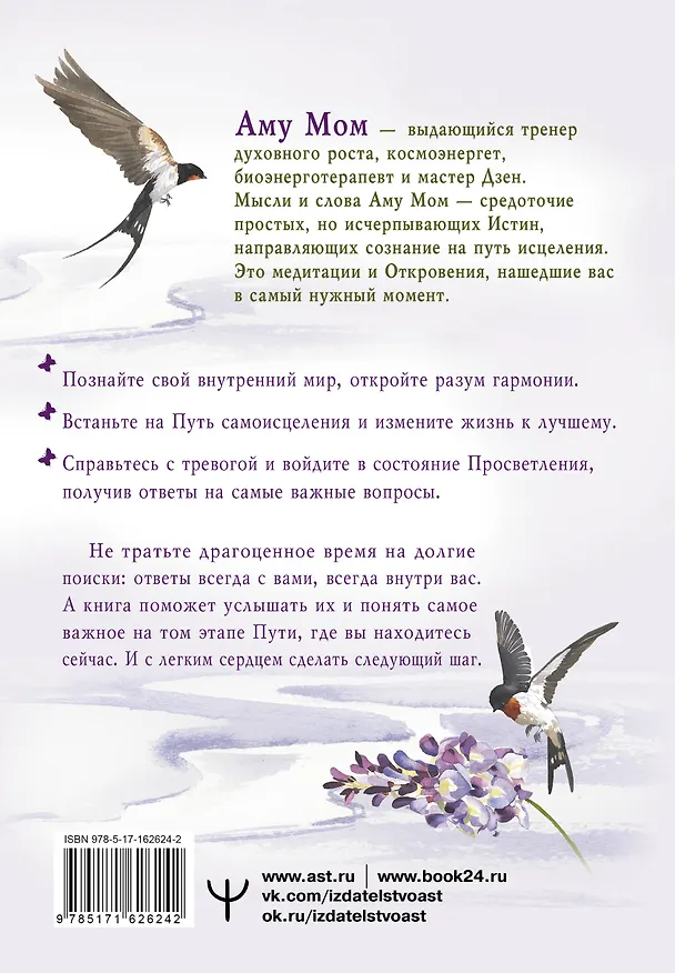 Книга Энергии Дзен для самоисцеления, созидания и равновесия. Путь в Страну Мудрости (Аму Мом) — 2