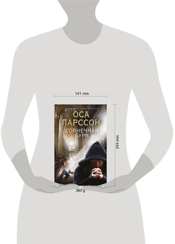 Книга Солнечная буря (Оса Ларссон) — 4