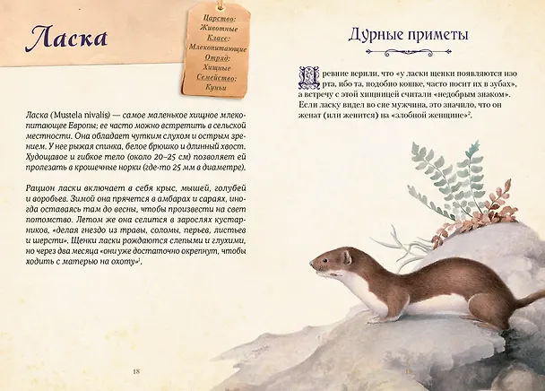 Книга Магические животные. Легенды и суеверия (Дениз Кроль-Терзаги) — 14