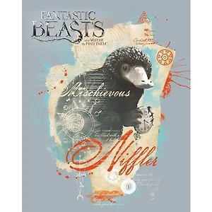 Тетрадь в клетку Hatber, "Фантастические твари", А5, 24 листа, в ассортименте