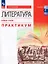 Литература. Базовый уровень. Практикум. Учебное пособие для СПО — 3129031 — 1