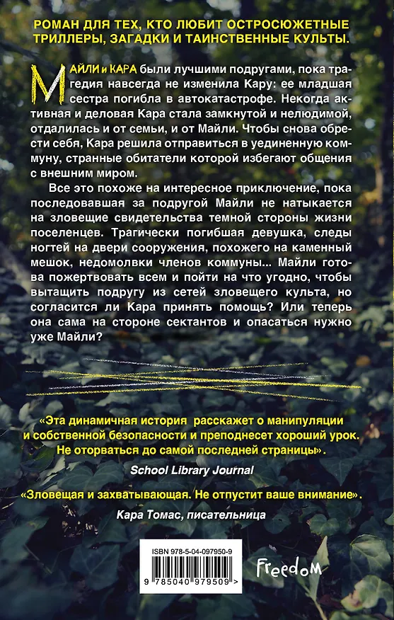 Книга Девушка в плохой компании (Кейтлин Уорд) — 2