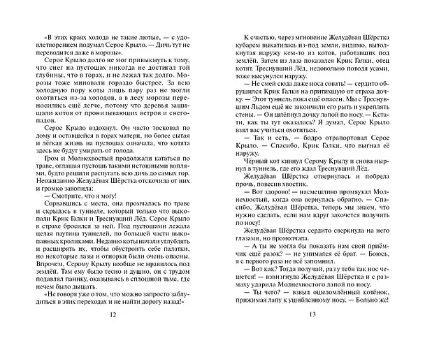 Книга Юность Грома (Эрин Хантер) — 6