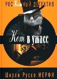 Кот в ужасе