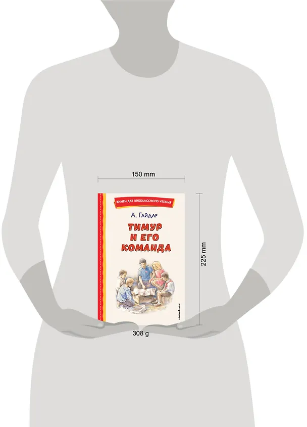 Книга Тимур и его команда (ил. О. Зубарева) (Аркадий Гайдар) — 17