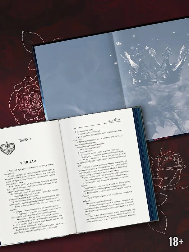 Книга Шрам. Специальное издание (Эмили Макинтайр) — 6