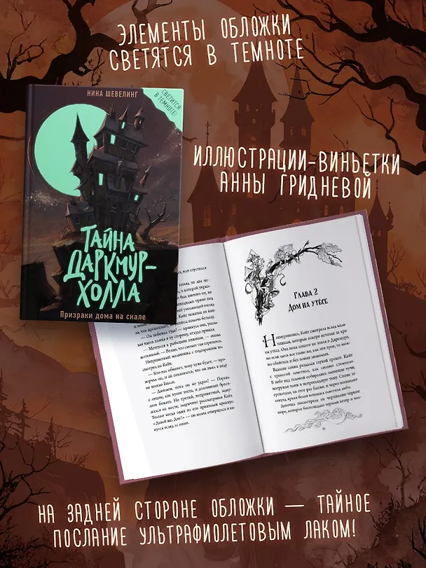 Книга Тайна Даркмур-Холла. Призраки дома на скале (Нина Шевелинг) — 6