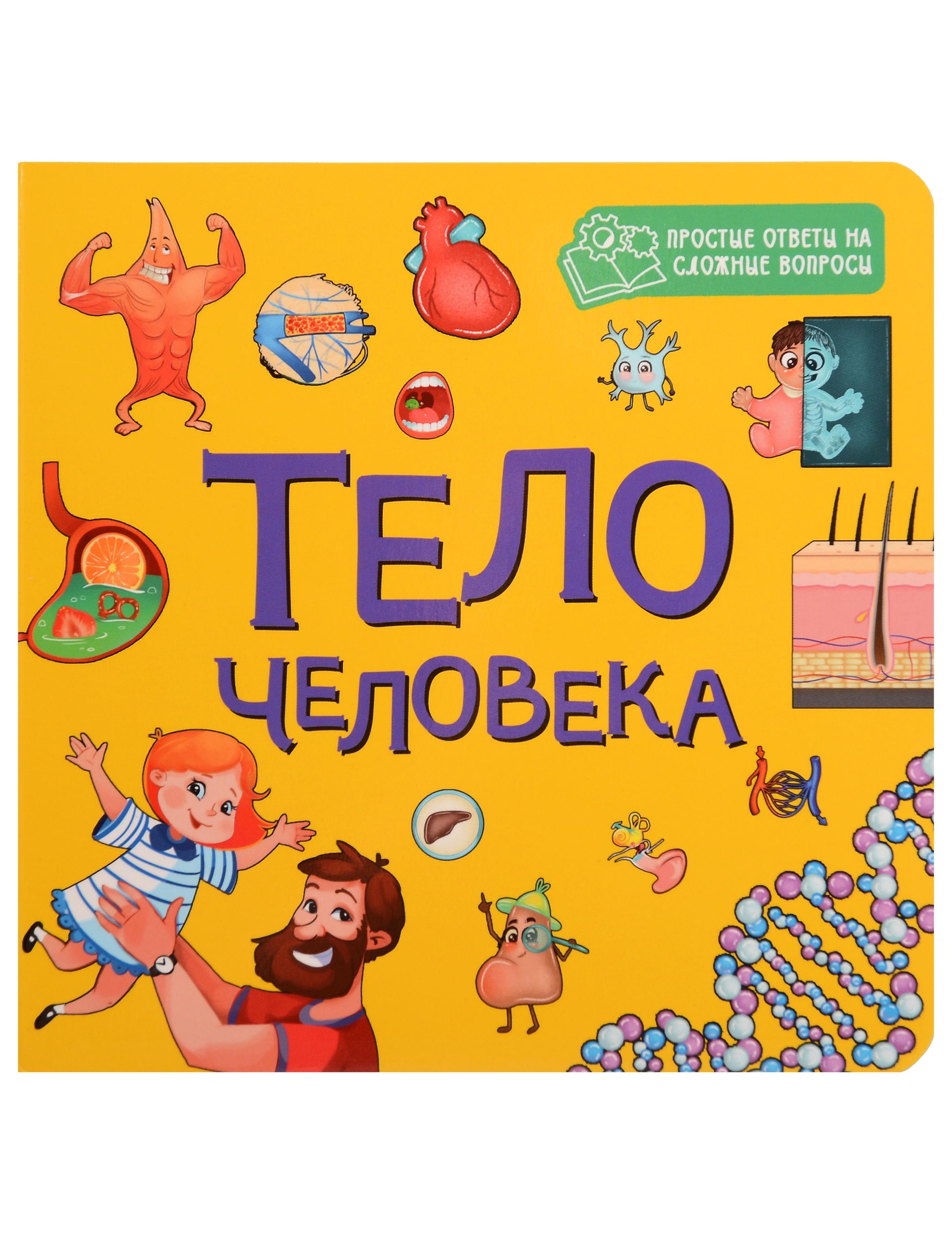 None Тело человека