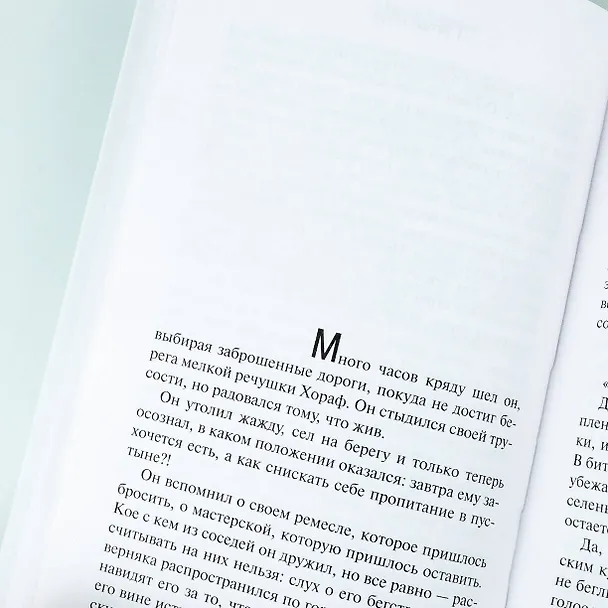 Книга Пятая гора (Пауло Коэльо) — 10