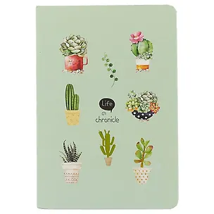 Блокнот «Кактусы», 256 страниц, 13 х 19 см 2619430