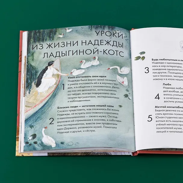 Книга Чему я могу научиться у Надежды Ладыгиной-Котс (Юлия Михневич) — 17