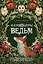 Фамильяры ведьм — 3167132 — 1