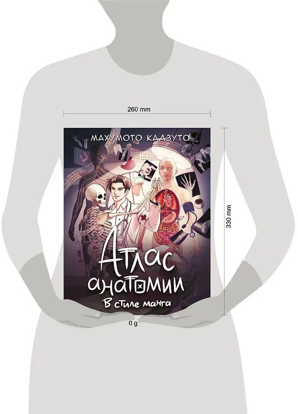 Книга Атлас анатомии в стиле манга (Махумото Кадзуто) — 6