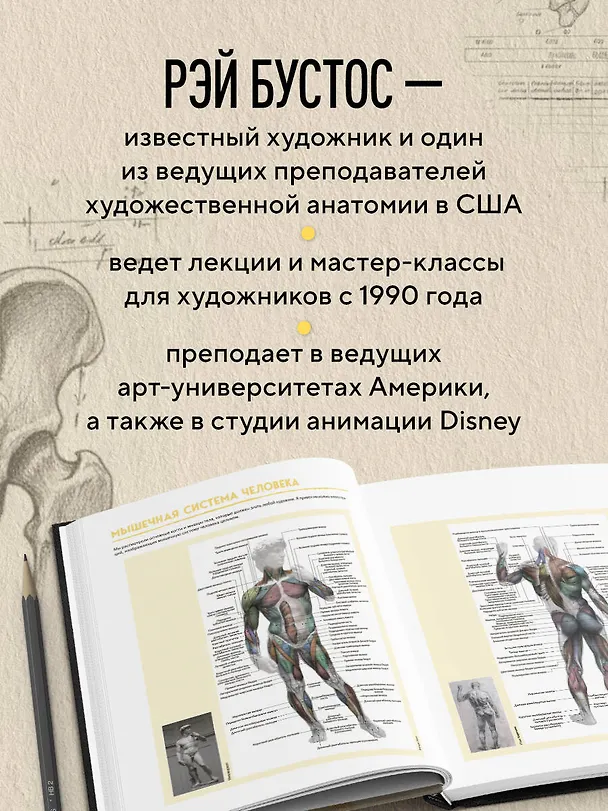 Книга Анатомия Рэя. Большое руководство по рисунку для художников (Рэй Бустос) — 7