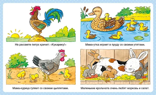 Книга Животные (Эмили Бомон) — 3
