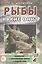 Рыбы. Какие они? Знакомство с окружающим миром и развитие речи — 2628851 — 1