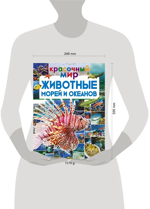 Книга Животные морей и океанов (Мария Закотина, Вячеслав Ликсо, Любовь Вайткене) — 4