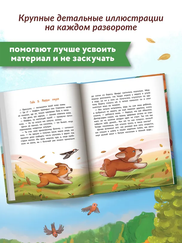 Книга Самый необычный в классе (Мария Шаталова) — 6