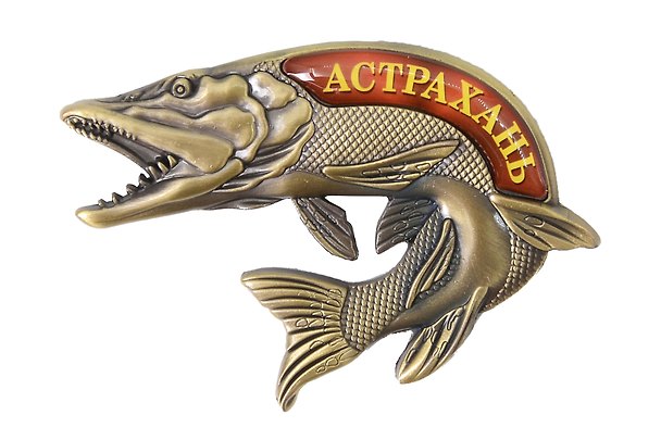 Магнит-щука бронза (металл) (Астрахань) (027-3BR-RB-02-82) 3133928 — 1