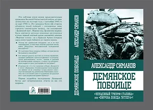 Демянское побоище. "Упущенный триумф Сталина" или "пиррова победа Гитлера"?