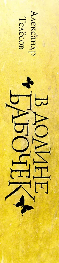 Книга В долине бабочек (Александр Телёсов) — 4