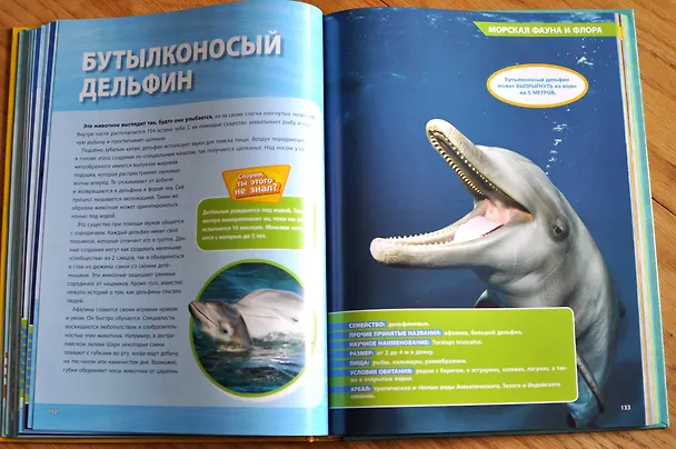 Книга Большая энциклопедия океана (Кристина Уилсдон) — 10