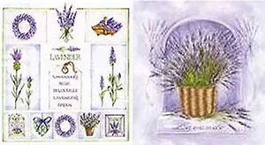 Наб. салф. для декупажа Лаванда в корзине/Лавандовые этикетки (6320/007204) (2шт)