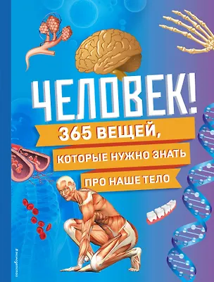 Книга Человек! 365 вещей, которые нужно знать про наше тело ()