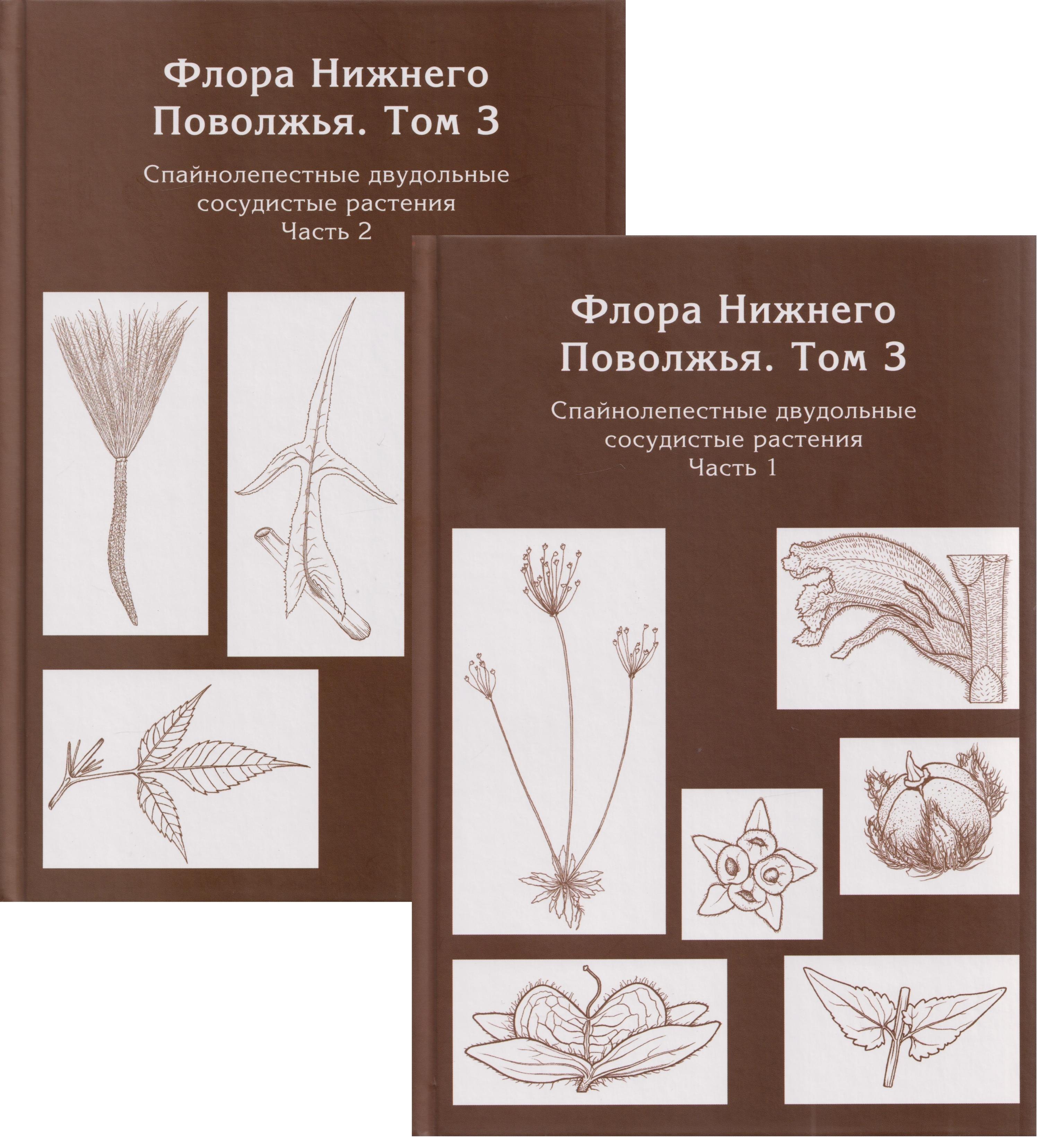 None Флора Нижнего Поволжья. Том 3. В 2-х частях (комплект из 2-х книг)