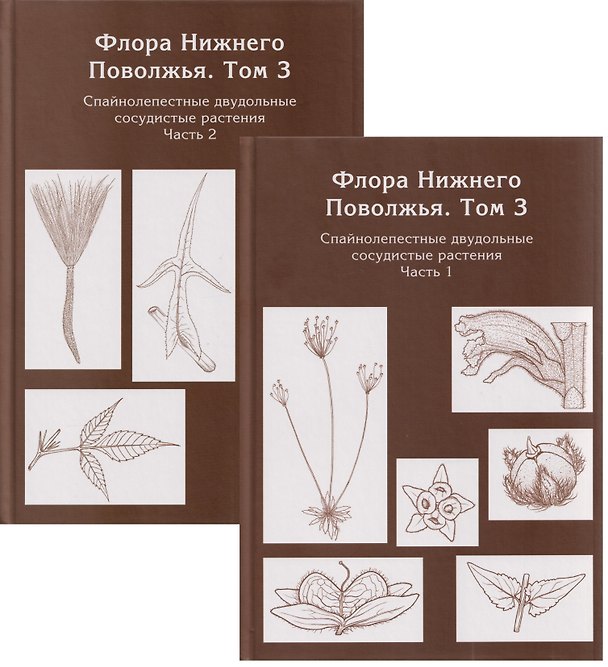 Книга Флора Нижнего Поволжья. Том 3. В 2-х частях (комплект из 2-х книг) () — 1