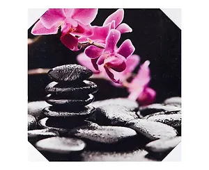 Картина Орхидея и черные камни (40х40) (740-076)