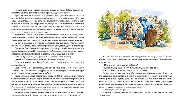Книга Тимур и его команда (Аркадий Гайдар) — 14