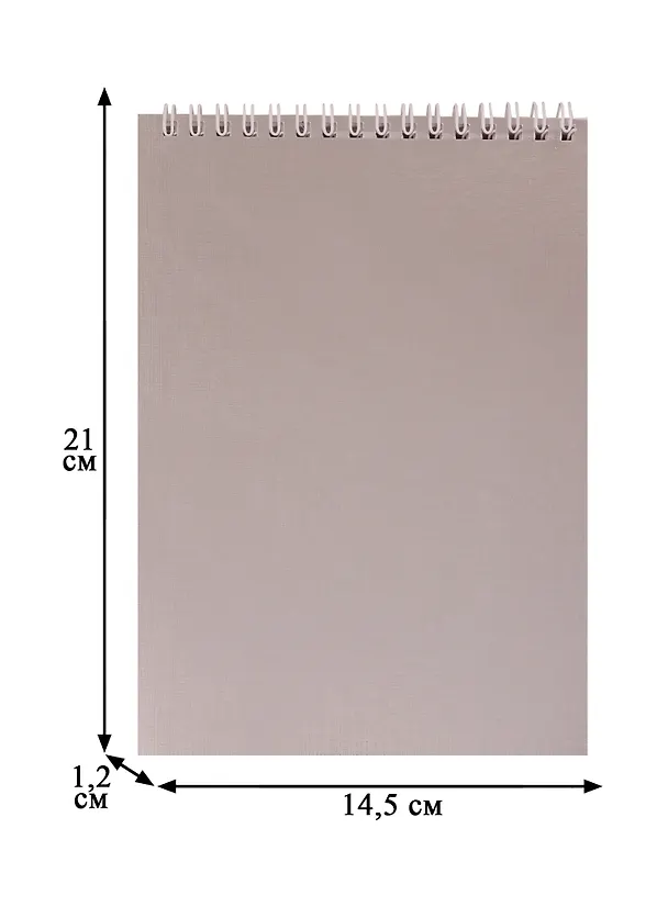 Блокнот А5 80л кл. "METALLIC Серебро" многоцв.срез, бумвинил, гребень 250744 — 3