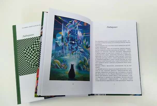 Книга Лабиринт (Галина Бирчанская) — 9