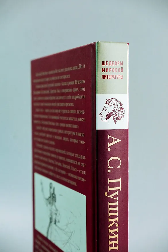 Книга Евгений Онегин (Александр Пушкин) — 12