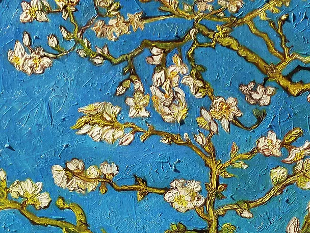 Кардхолдер. Винсент Ван Гог Цветущие ветки миндаля (в форме книжки, 215х65 мм) 345730 — 1