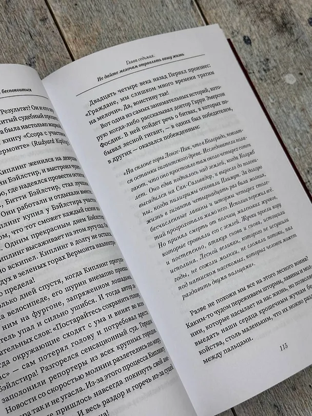 Книга Как перестать беспокоиться и начать жить (Дейл Карнеги) — 15