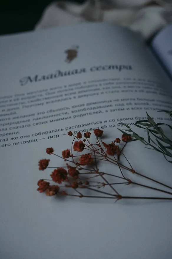 Книга Японские легенды. Оборотень Кицунэ, ведьма Такияша, слово самурая, заклинания, месть и любовь (Loputyn) — 12