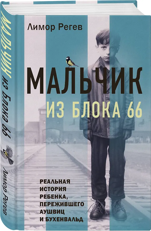 Книга Мальчик из Блока 66: реальная история ребенка, пережившего Аушвиц и Бухенвальд (Лимор Регев) — 4