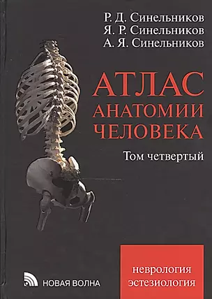 Атлас анатомии человека. В 4 т. Т. 4. Неврология. Эстезиология. 7-е изд. — 2469356 — 1