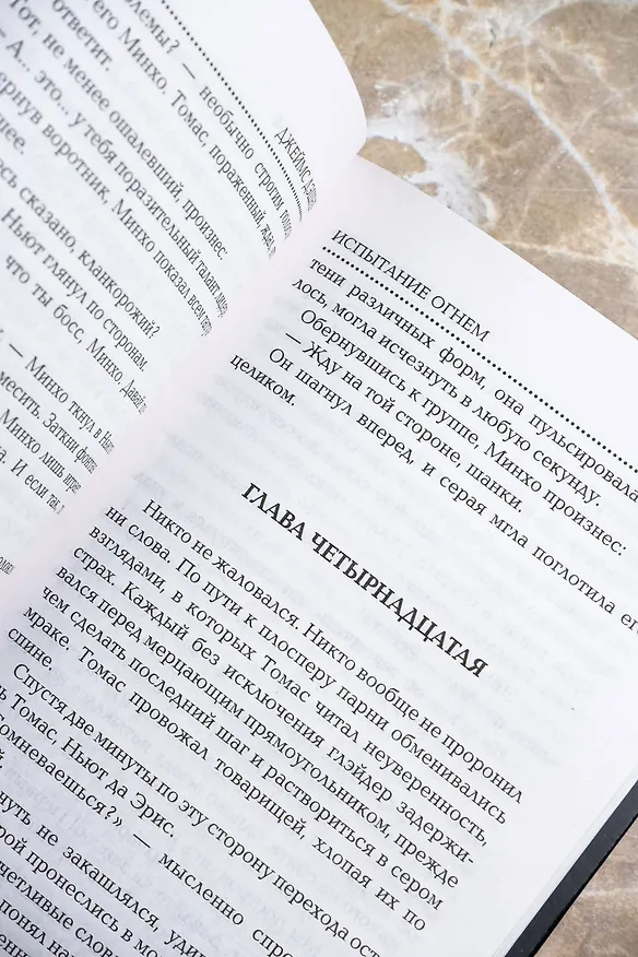 Книга Испытание огнем (Джеймс Дэшнер) — 9