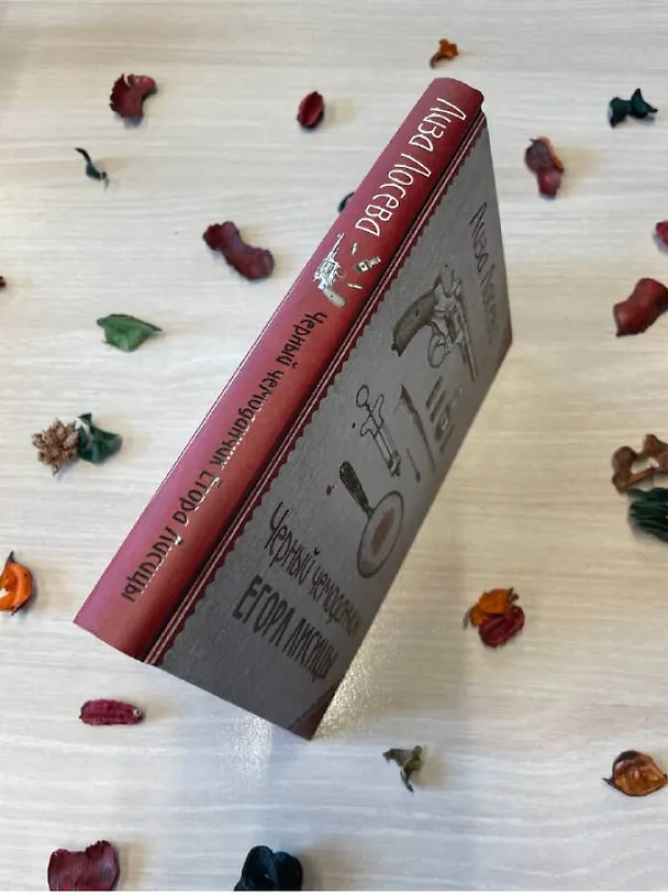 Книга Черный чемоданчик Егора Лисицы (Лиза Лосева) — 8
