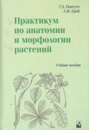 Практикум по анатомии и морфологии растений: Учеб. пособие / Бавтуто Г., Ерей Л. (Маритан-Н) — 2255853 — 1