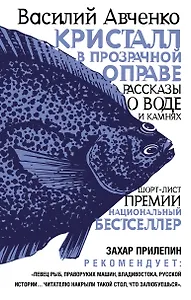 Кристалл в прозрачной оправе