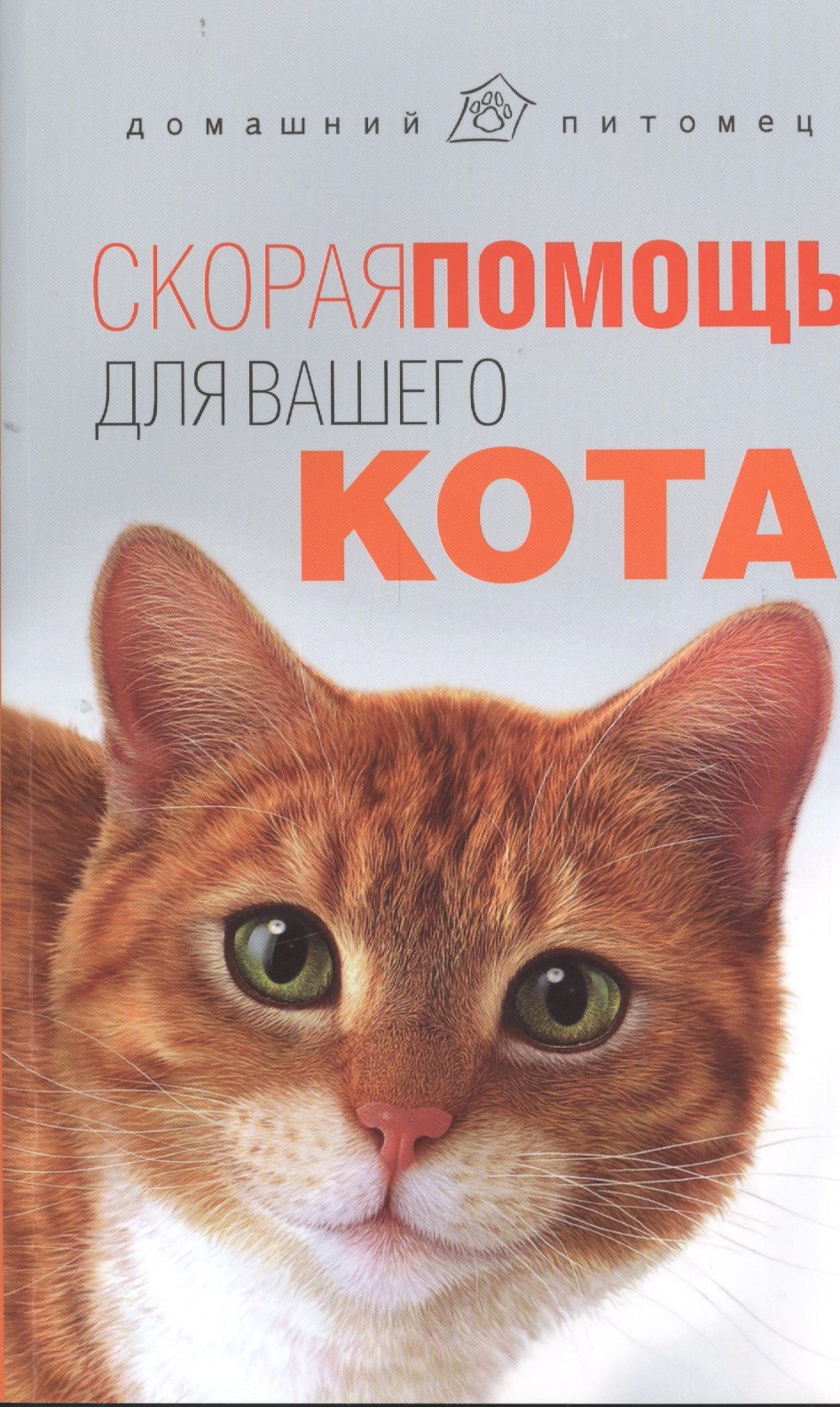 

Скорая помощь для вашего кота