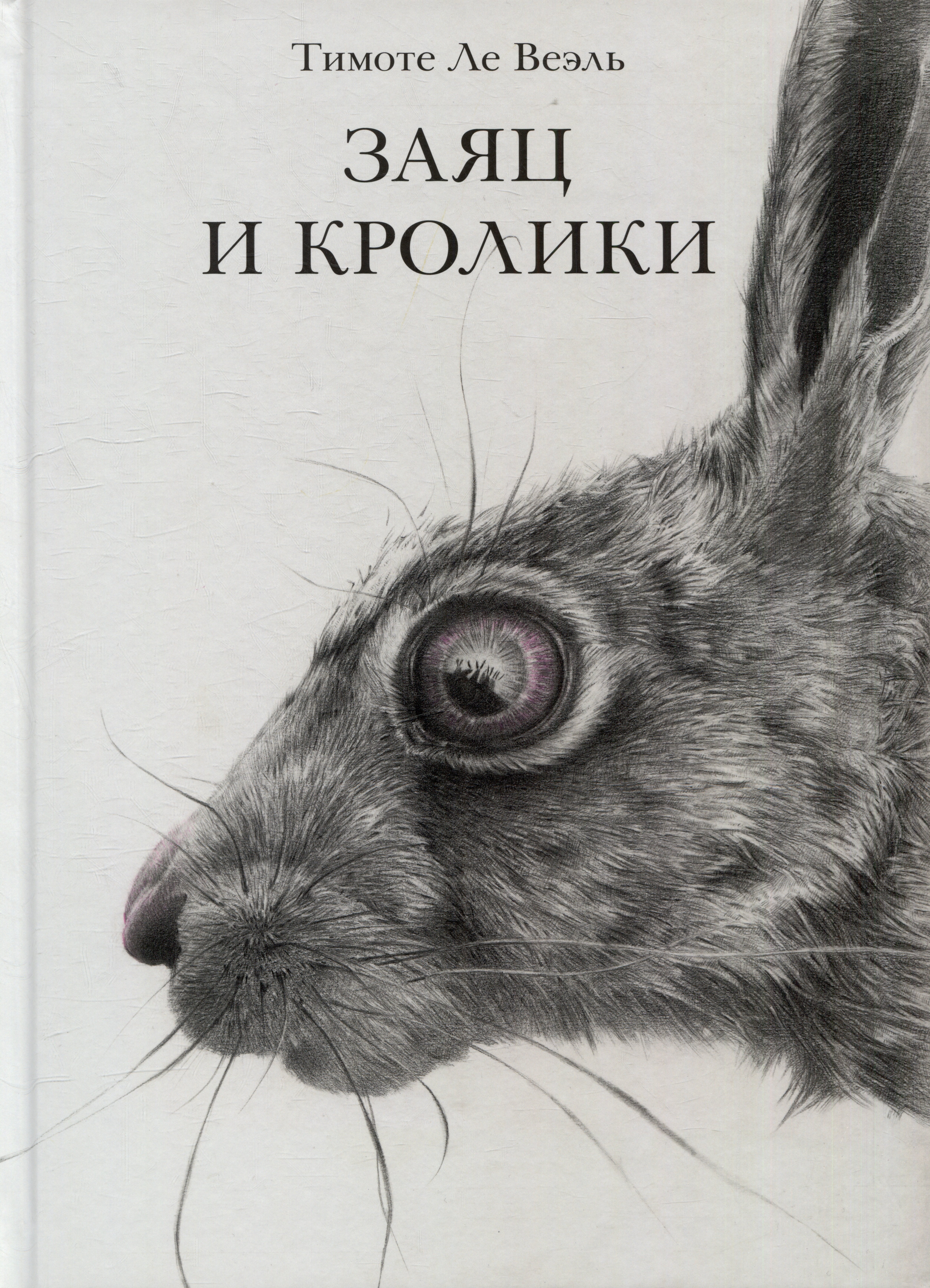 

Заяц и кролики
