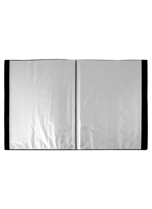 Папка 100ф А4 "STANDARD" пластик 0,8мм, черная  2963542 — 3