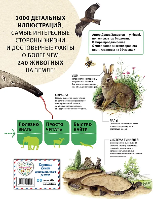 Книга Животные. Все обитатели нашей планеты (Дэвид Элдертон) — 2